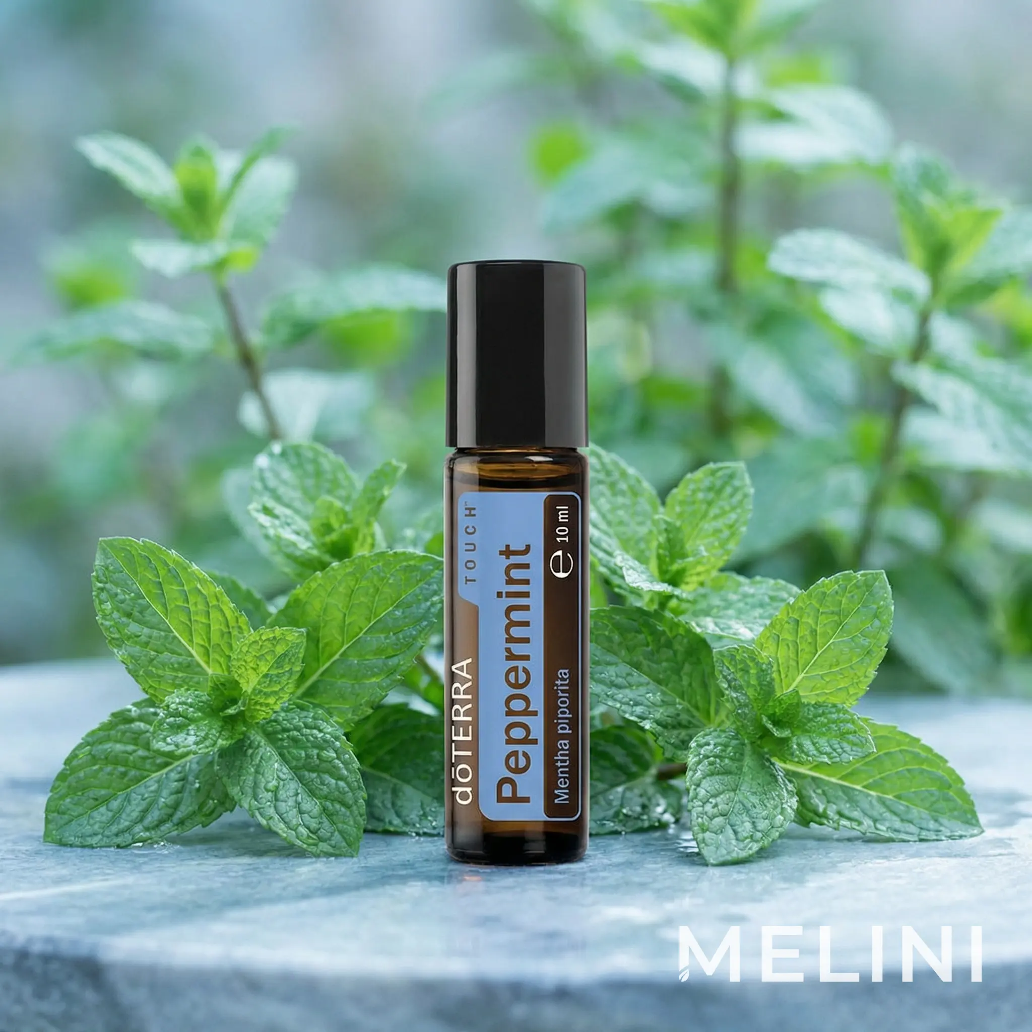 doTERRA Peppermint Touch 10 ml