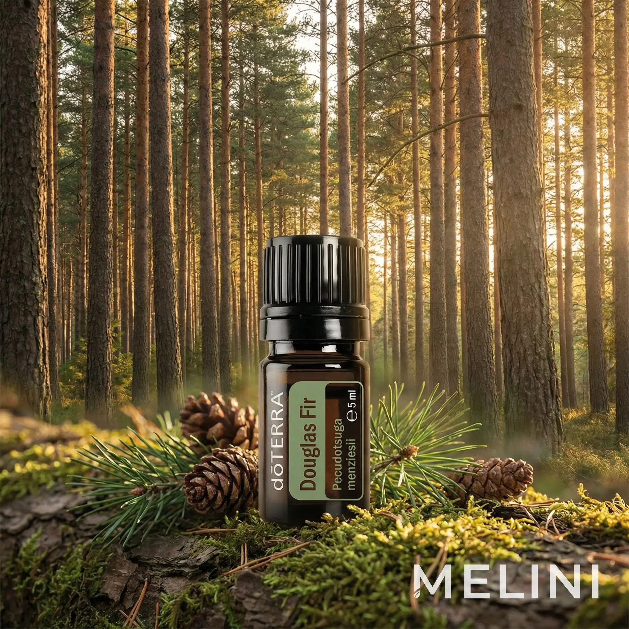 doTERRA Douglas Fir Essential Oil 5 ml