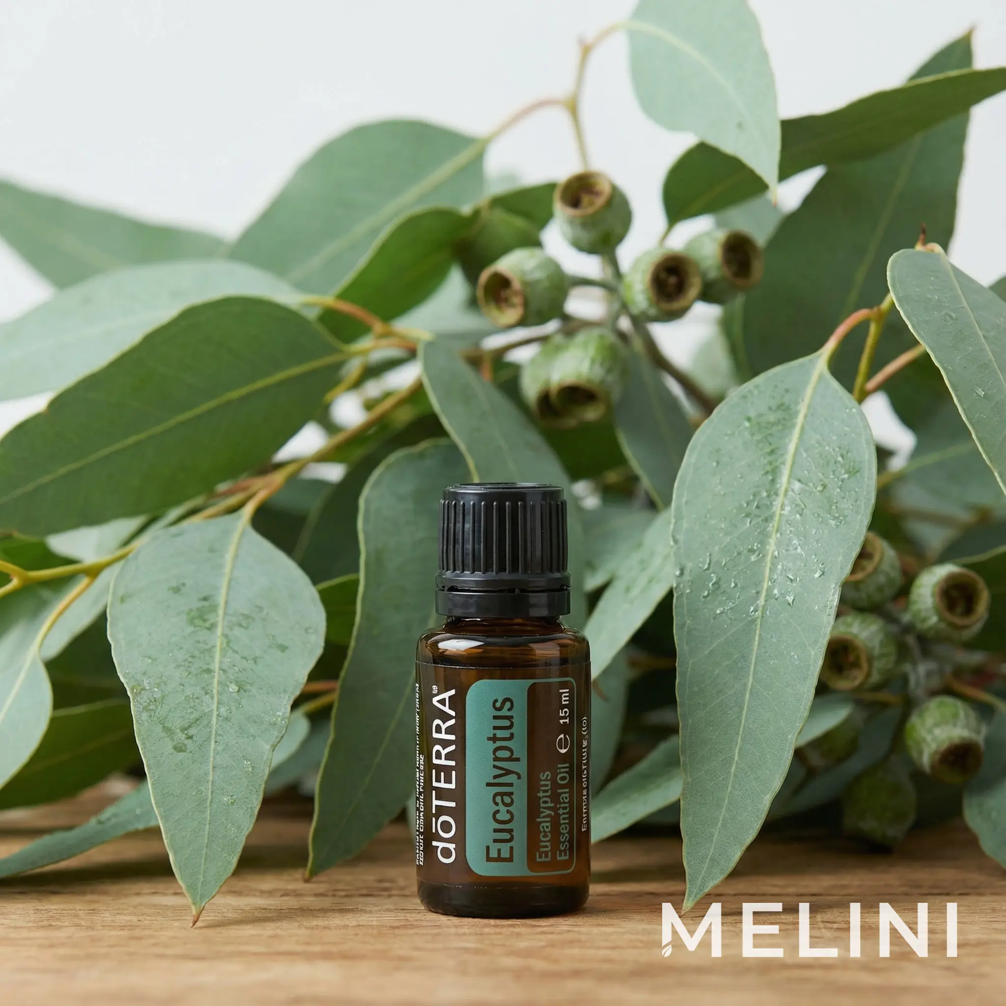 doTERRA Eucalyptus Essential Oil 15 ml