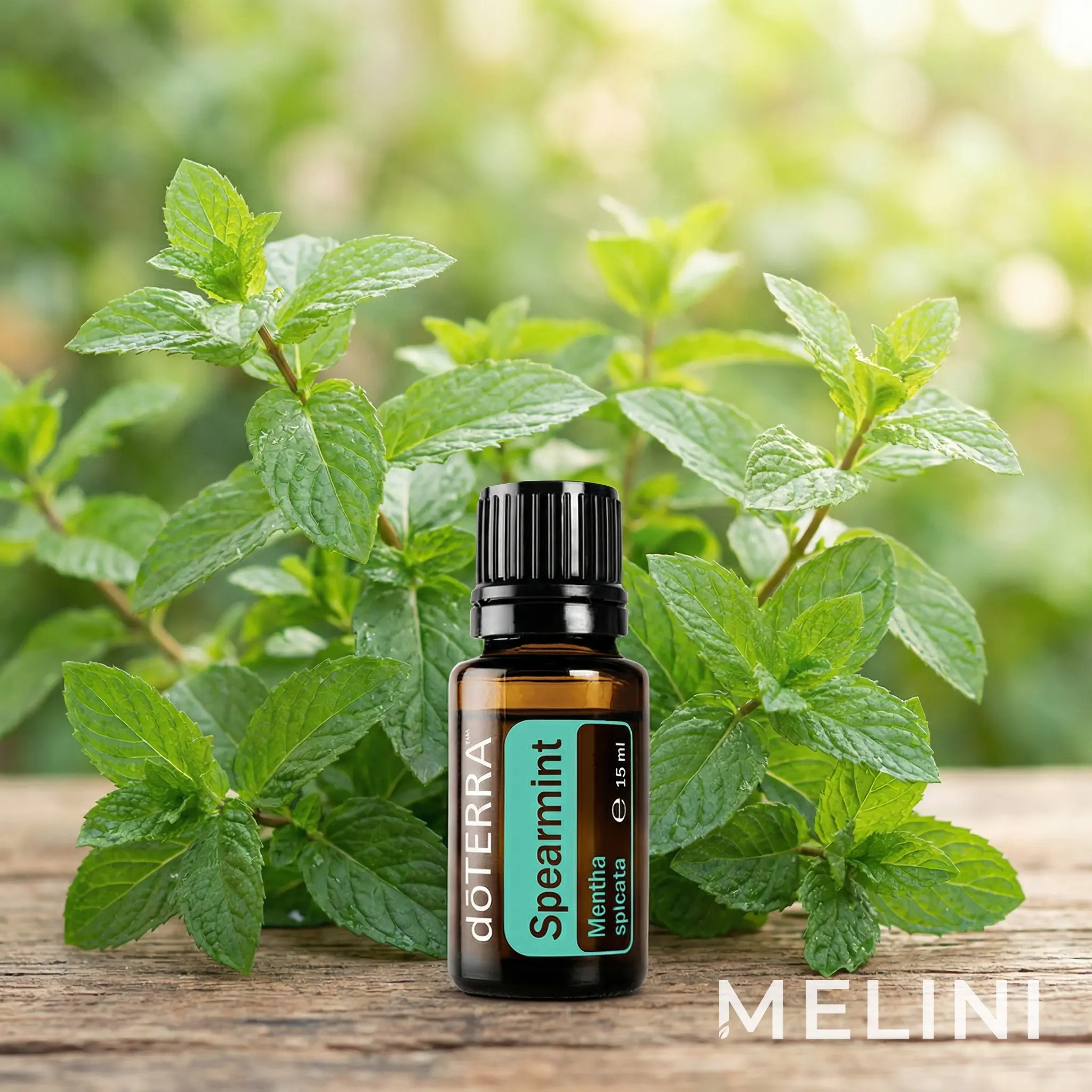 doTERRA Spearmint Essential Oil 15 ml