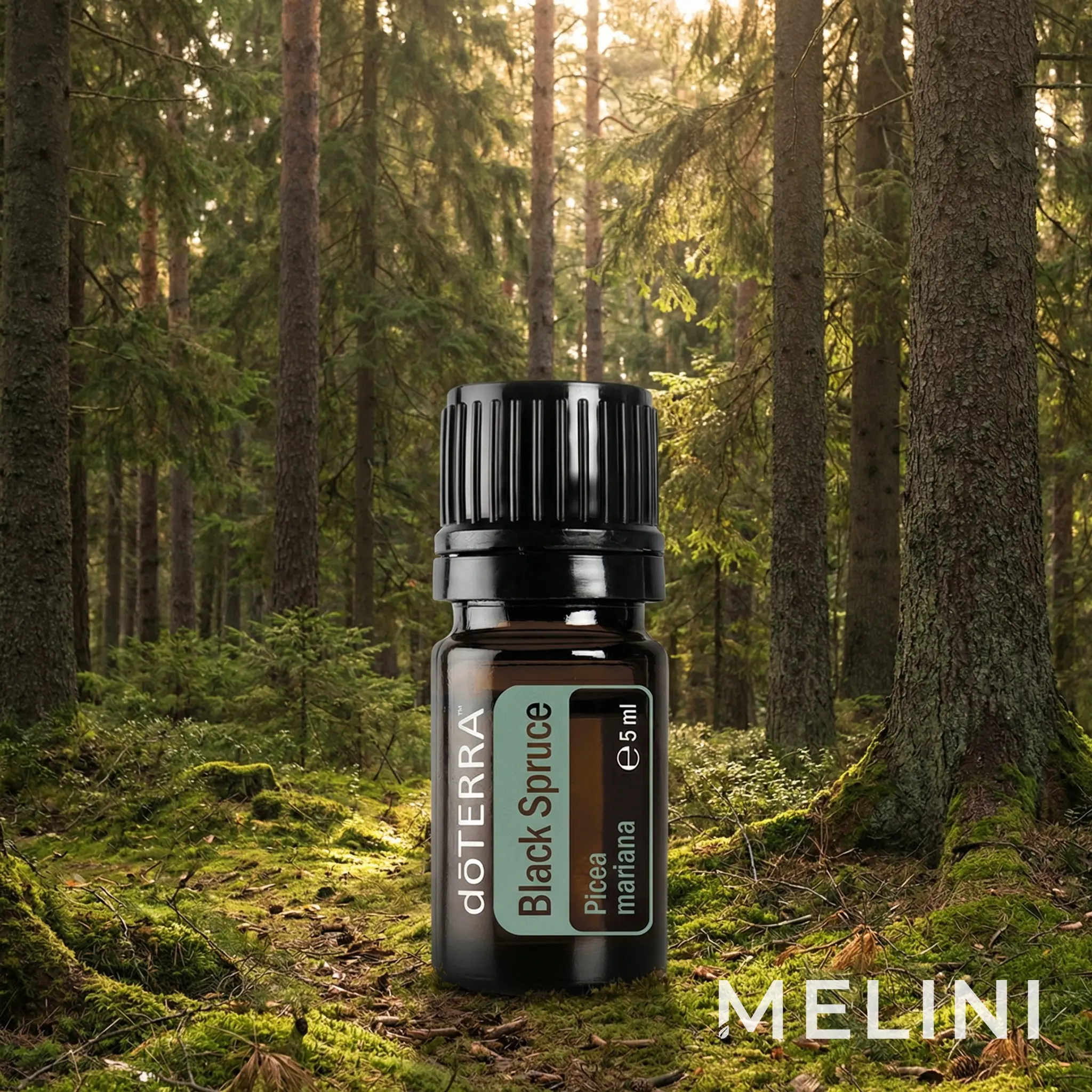 doTERRA Canadian Black Spruce 5 ml