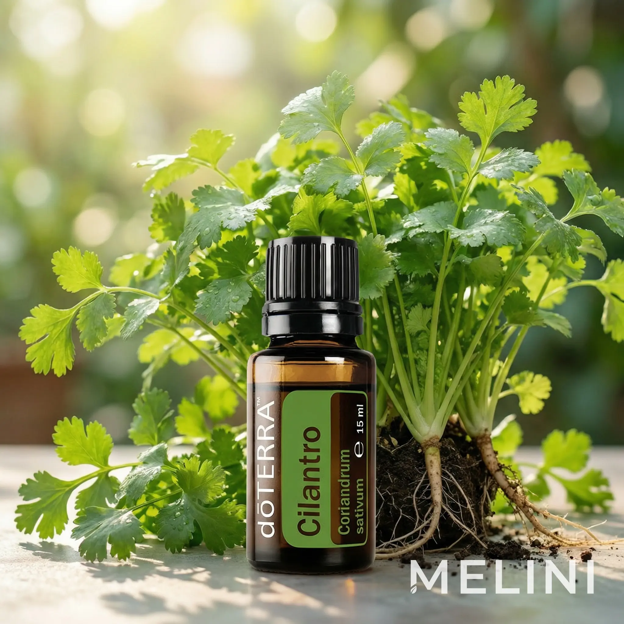 doTERRA Cilantro 15 ml