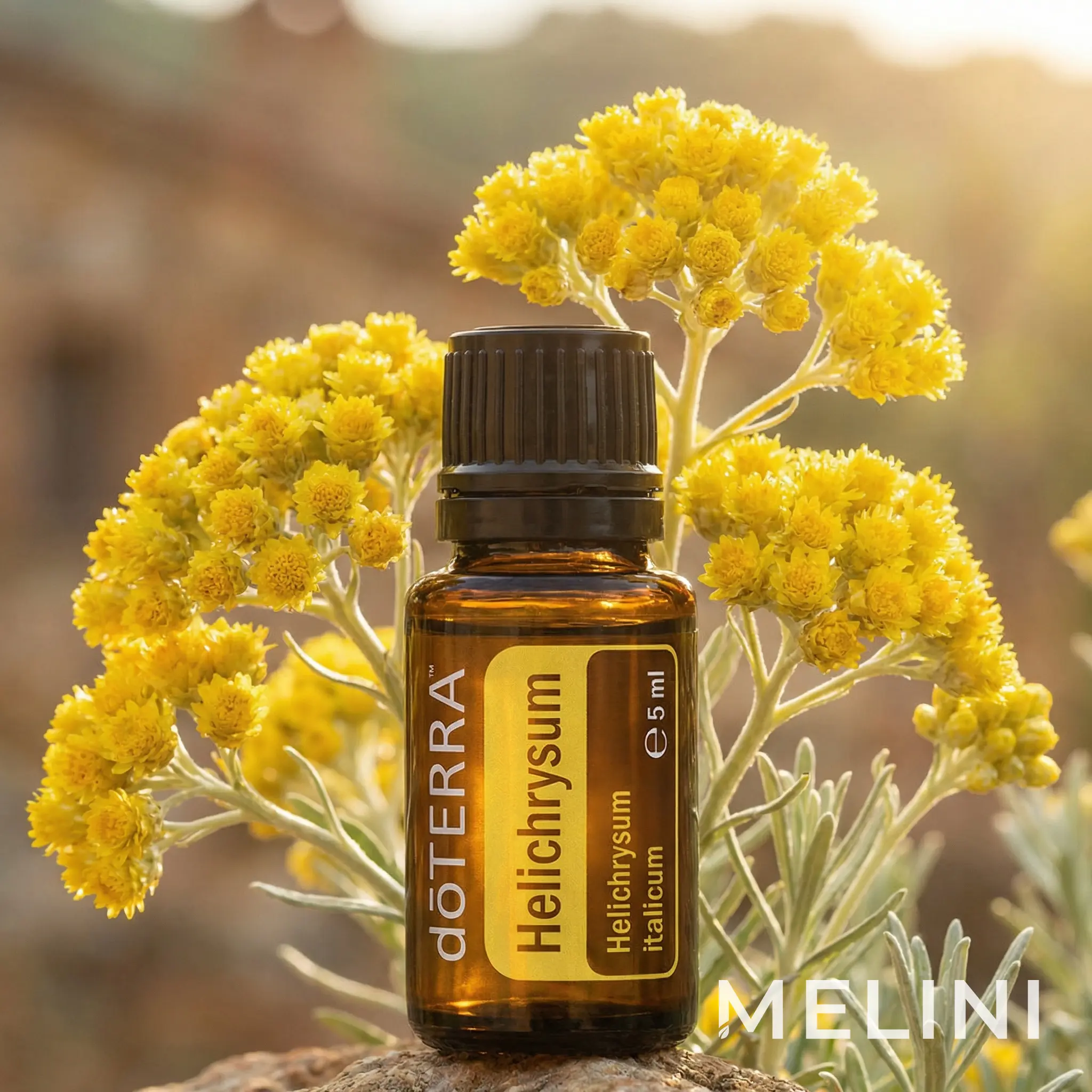 doTERRA Italian Helichrysum 5 ml