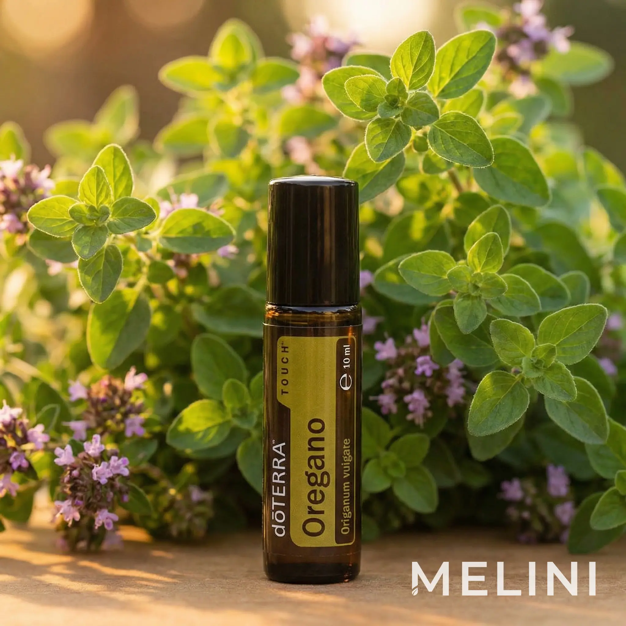 doTERRA Oregano Touch 10 ml