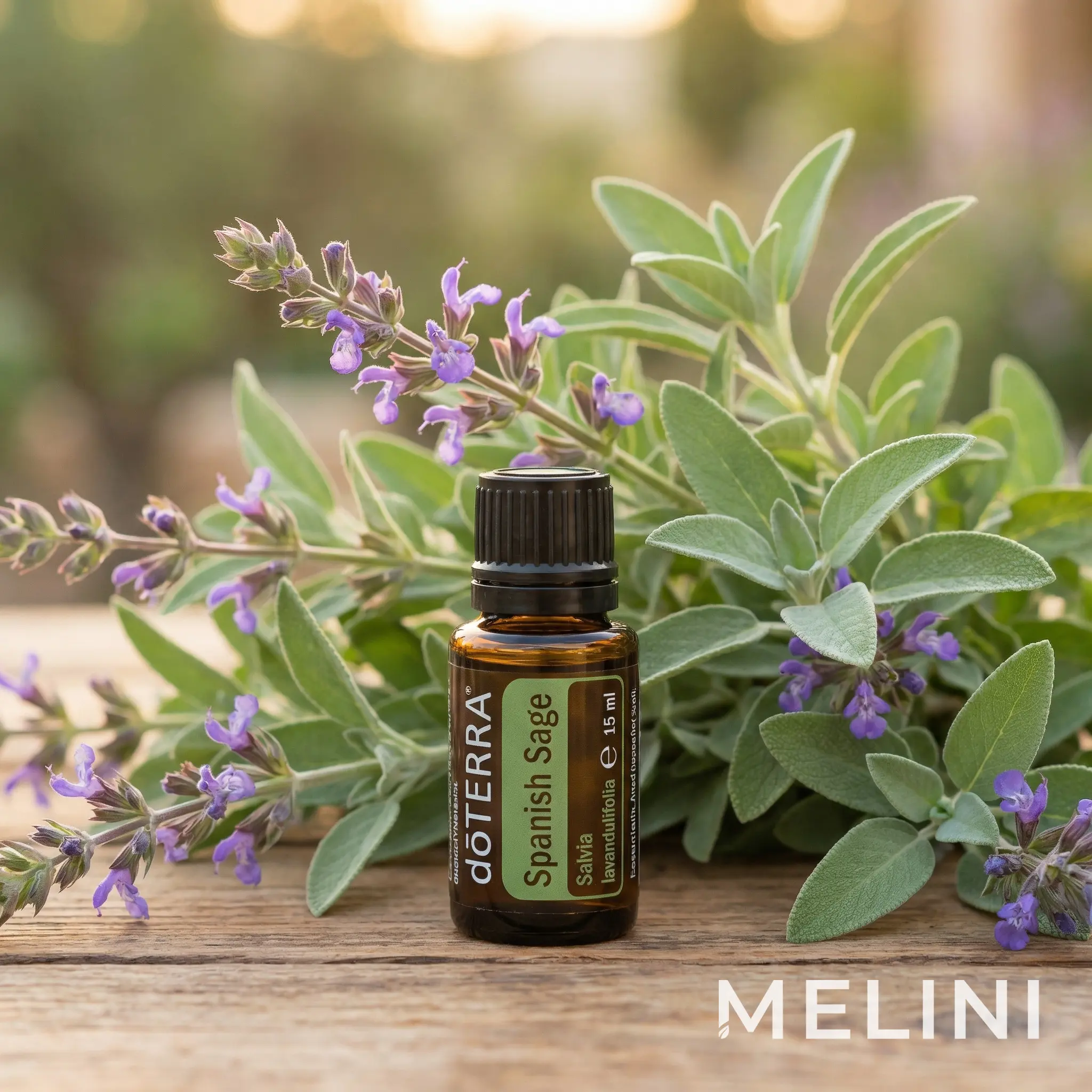 doTERRA Spanish Sage 15 ml