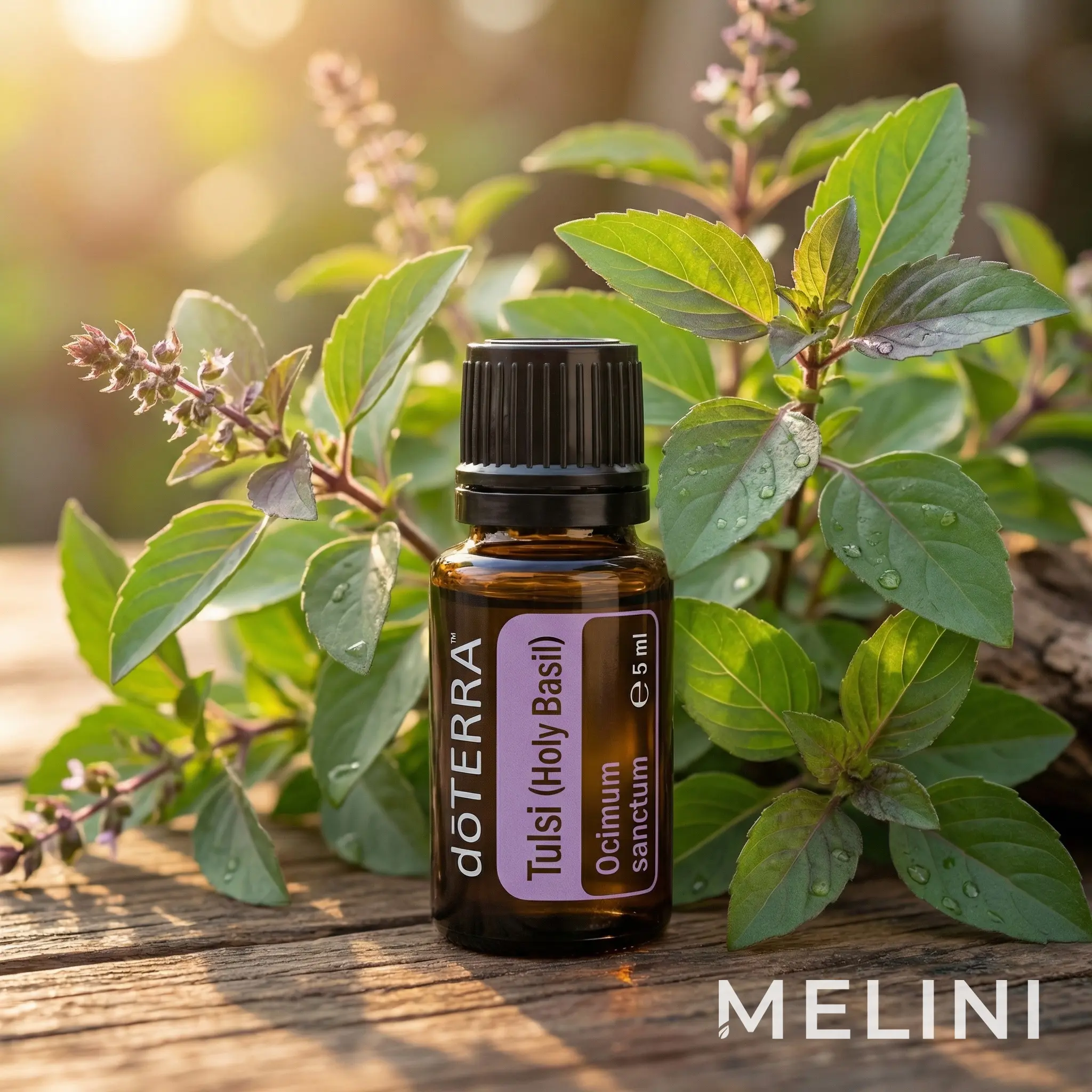 doTERRA Tulsi (Holy Basil) 5 ml