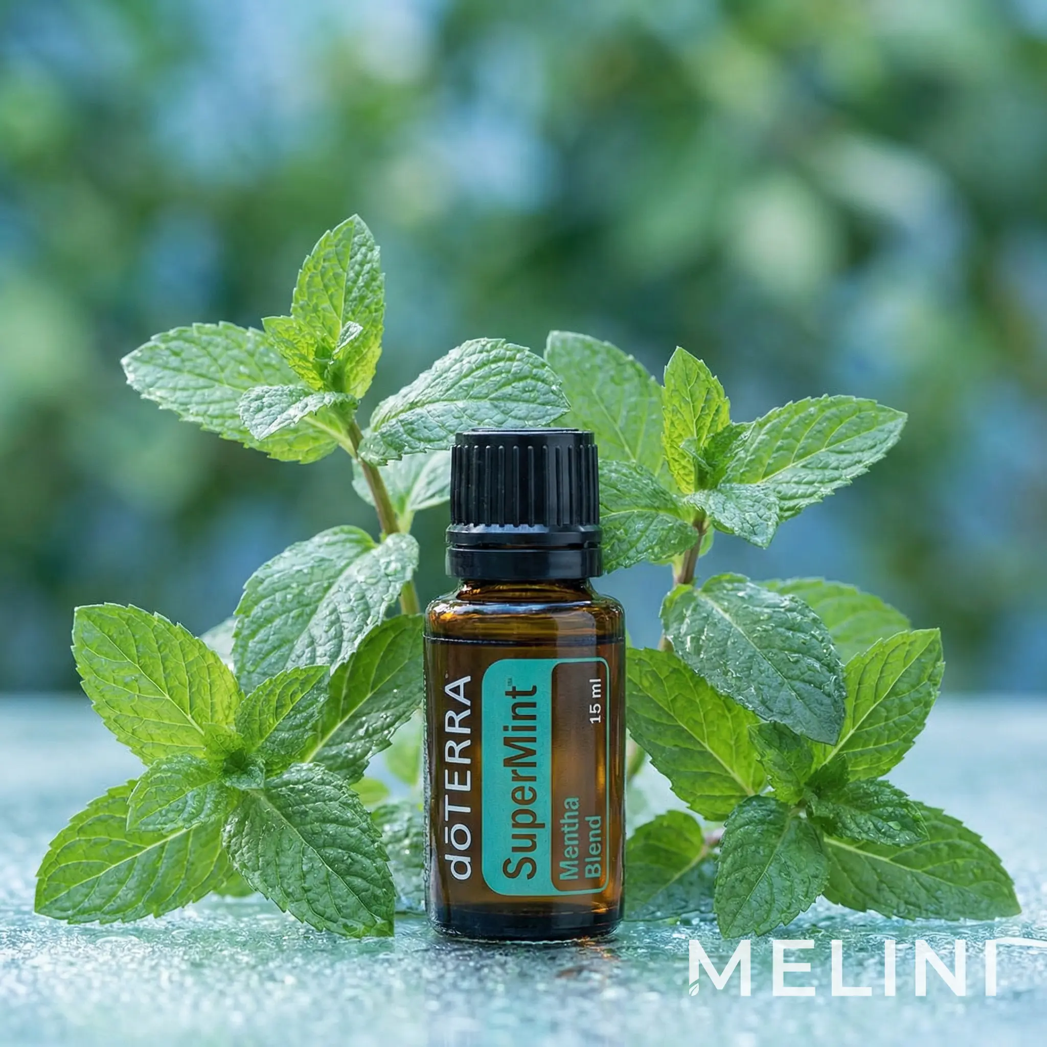 doTERRA SuperMint™ 15 ml