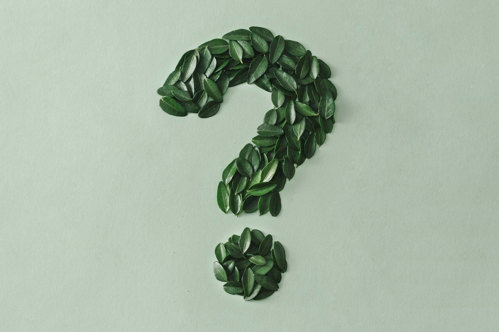 What is doTERRA and How Do We Use It?