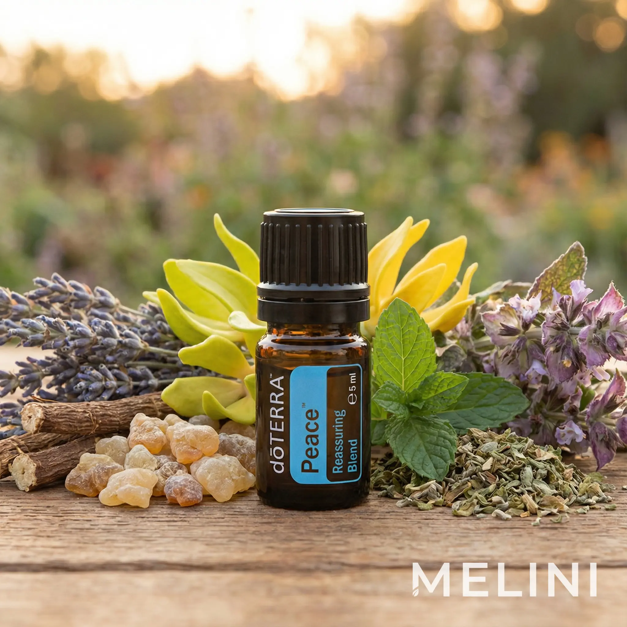 doTERRA Peace™