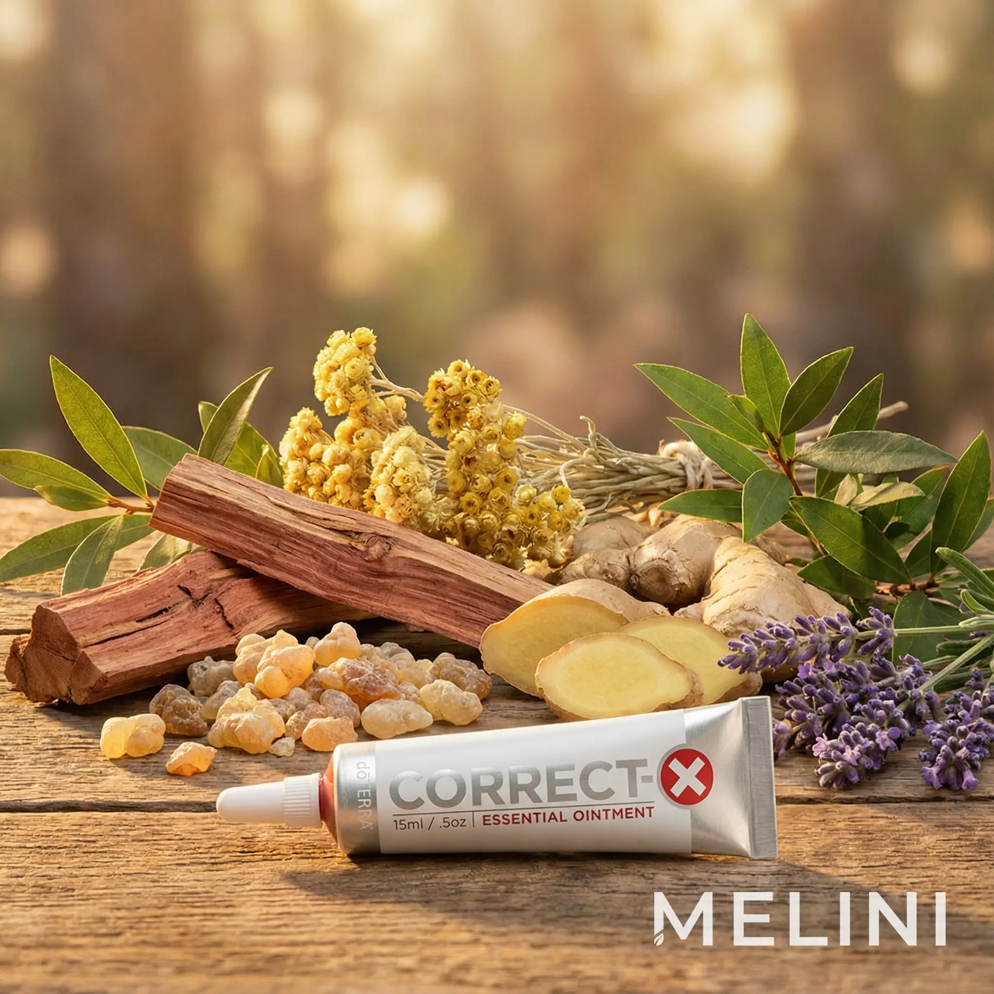 doTERRA Correct-X