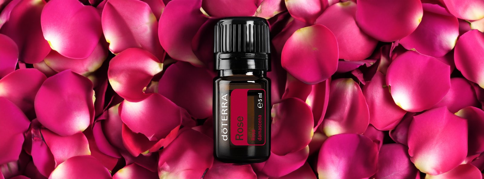 doTERRA rose