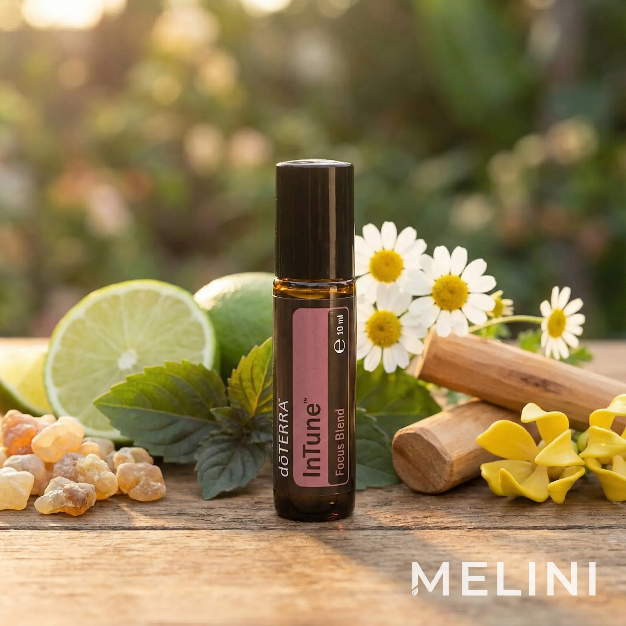 doTERRA InTune 10ml